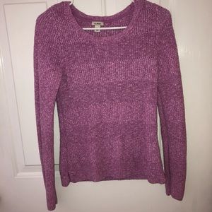 L.L. Bean pink/purple warm sweater
